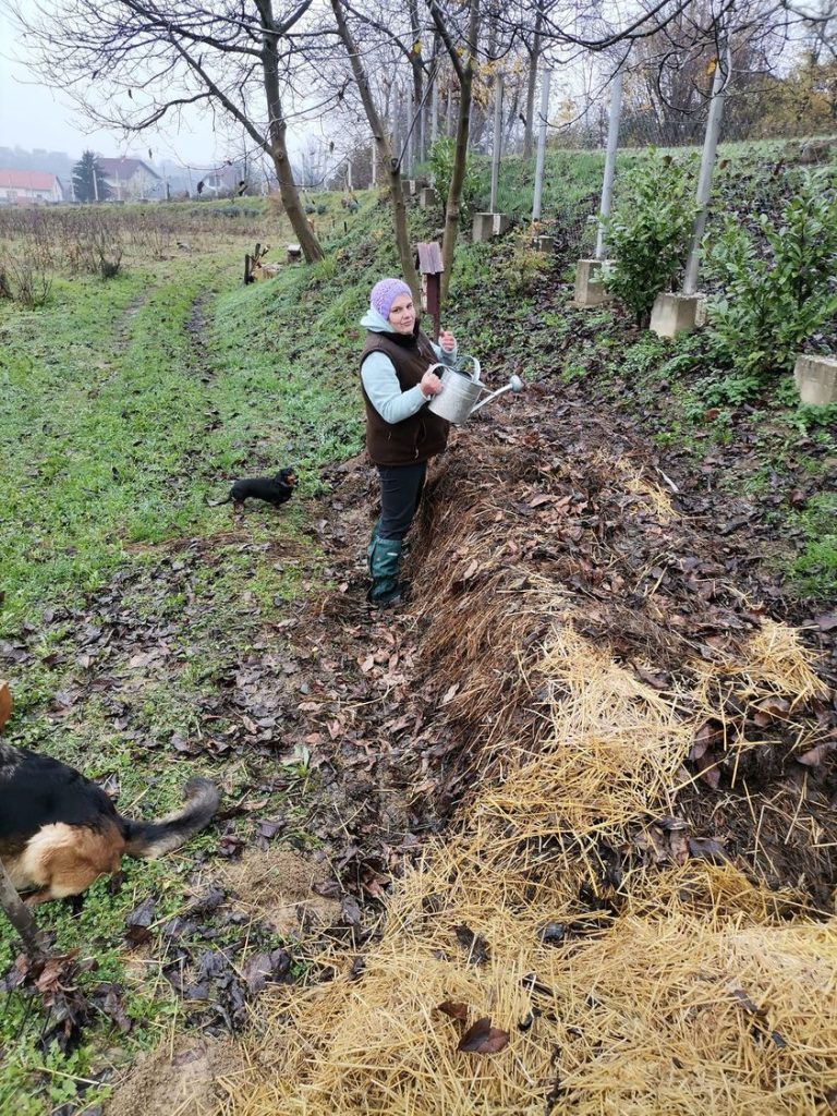 15 768x1024