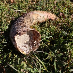 Pripravak 501 – kremen iz roga