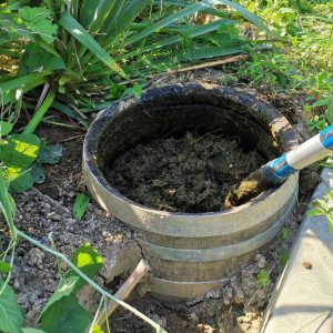 Pripravak kravljeg gnoja po Mariji Thun – Fladen – CPP