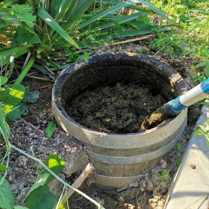 Pripravak kravljeg gnoja po Mariji Thun – Fladen – CPP