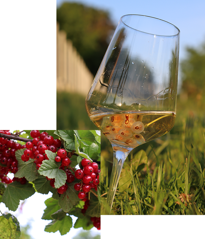 opg vukelic o nama 1